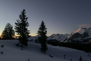 Abend-Schneeschuhtouren Uni SG