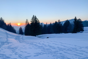 Abend-Schneeschuhtouren Uni SG