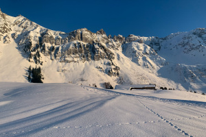 Abend-Schneeschuhtouren Uni SG
