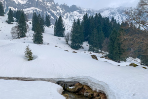 Abend-Schneeschuhtouren Uni SG