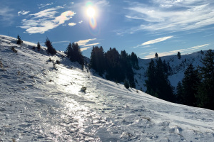 Abend-Schneeschuhtouren Uni SG