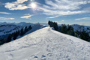 Abend-Schneeschuhtouren Uni SG