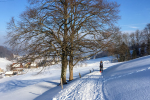 Rundtour Fähnerenspitz