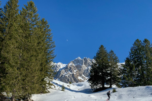 Schneeschuhtour für Einsteiger