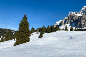 Schneeschuhtour für Einsteiger