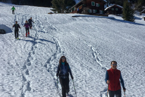 Schneeschuhtour für Einsteiger