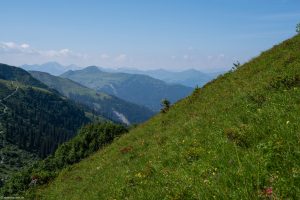 Blick aus dem Tal in Richtung Schuders