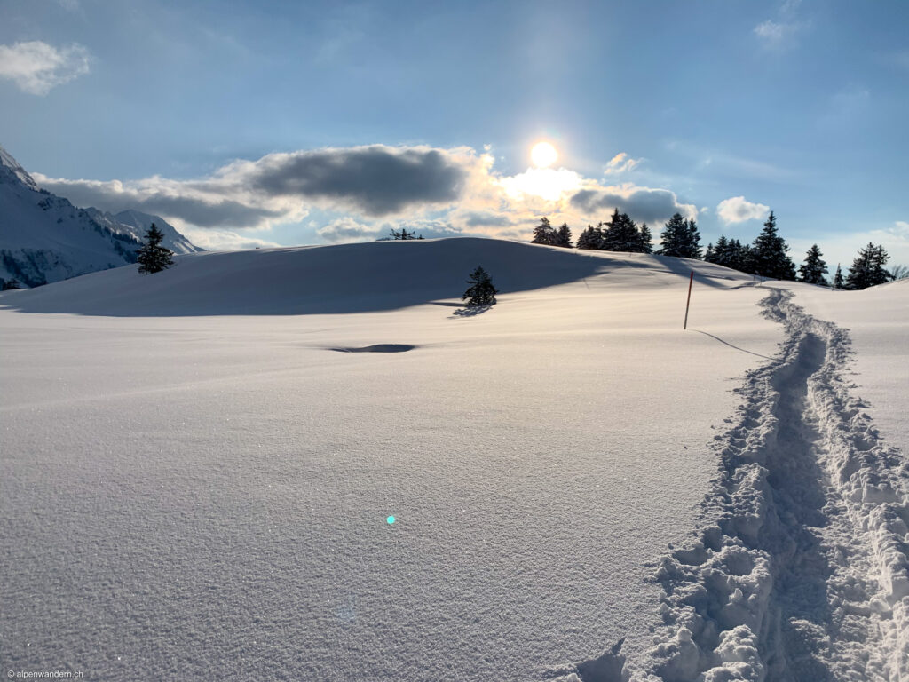 Schneeschuhtour Schwägalp