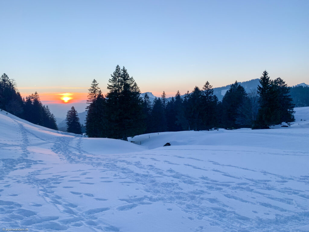 Abend Schneeschuh-Touren Uni St. Gallen