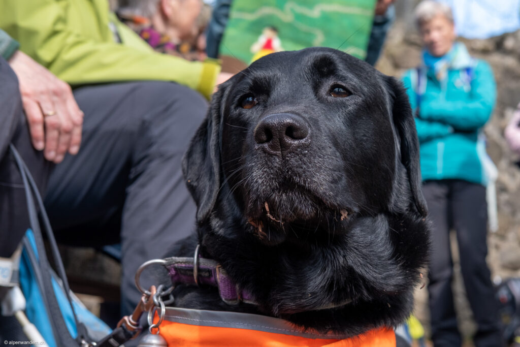 VAW - Wanderung mit Sehbehinderten, Blindenhund