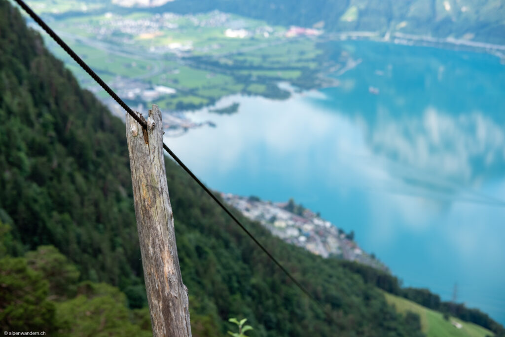 Wildheuerseil an den Hängen des Rophaien, UR