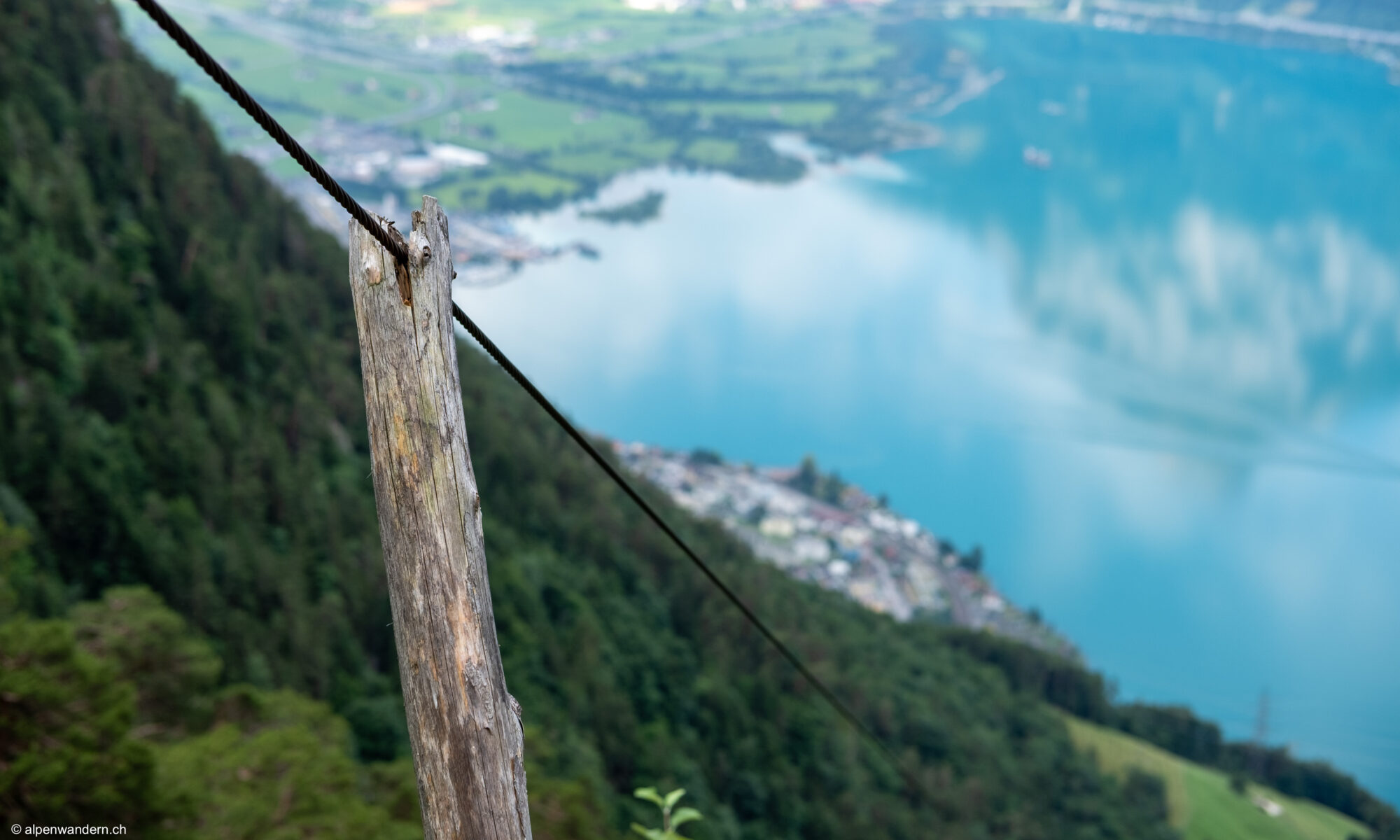 Wildheuerseil an den Hängen des Rophaien, UR