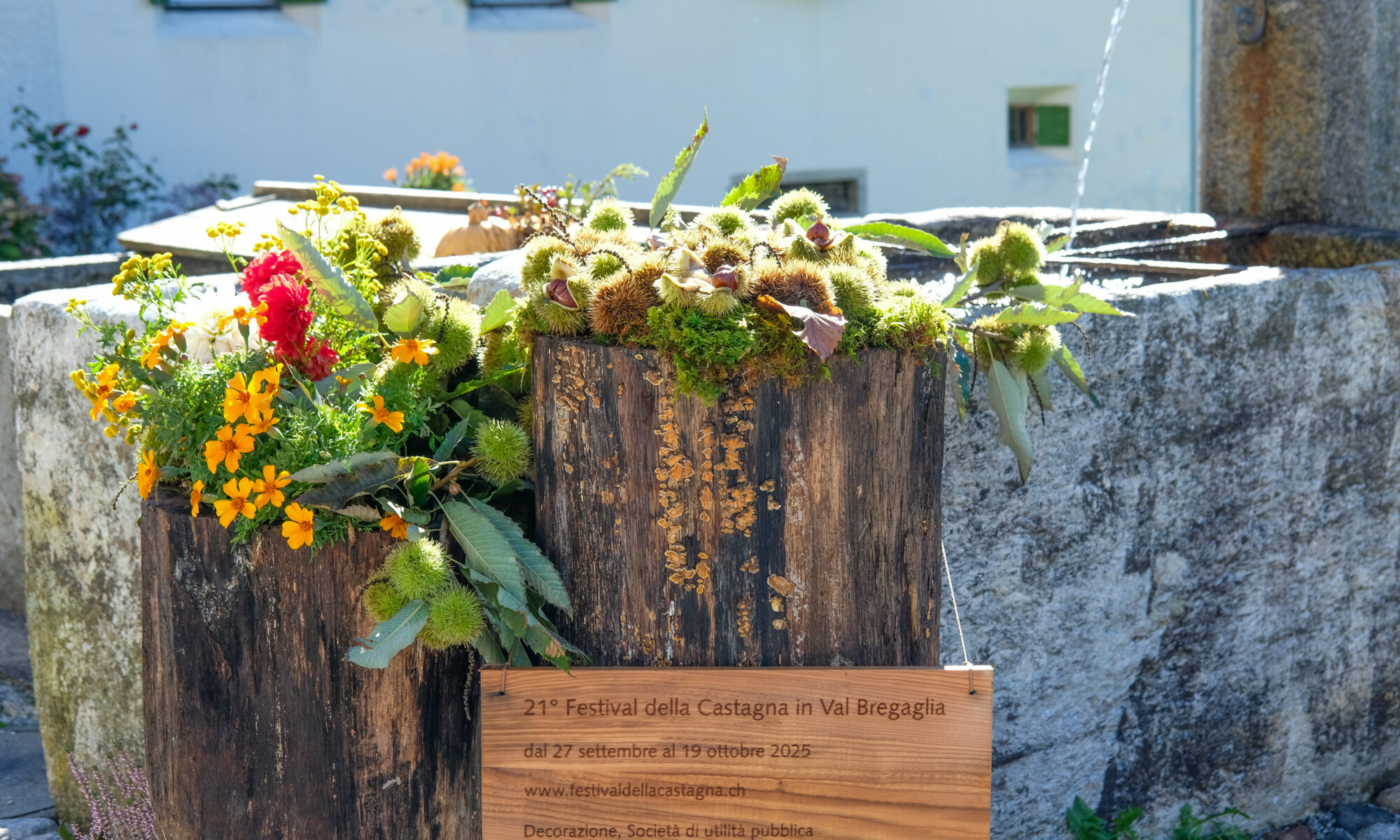 Brunnenschmuck in Coltura anlässlich dem Kastanienfest 2025