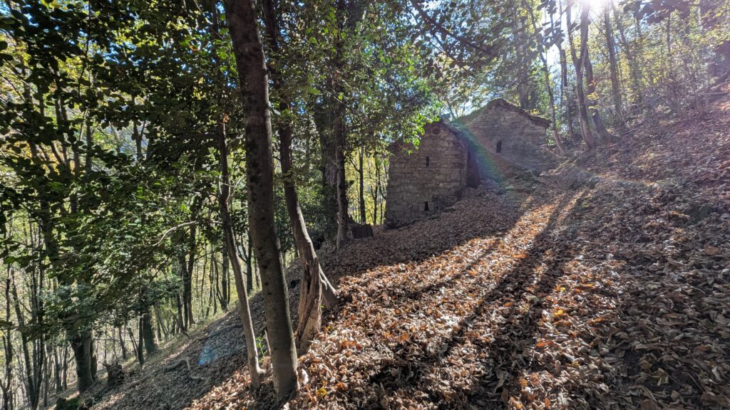 Wanderung durch die Wälder im Valle di Muggio
