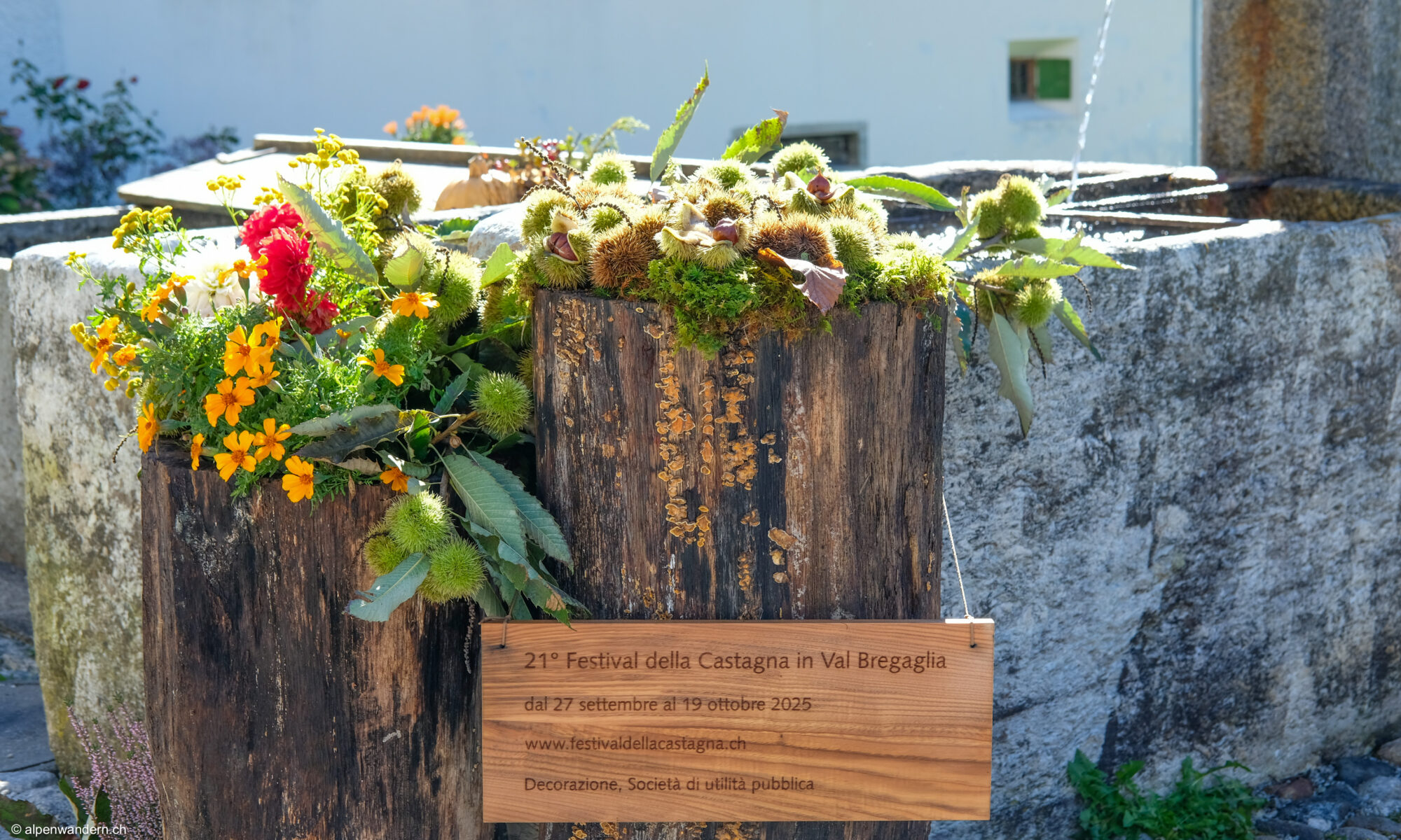 Brunnenschmuck in Coltura anlässlich dem Kastanienfest 2025