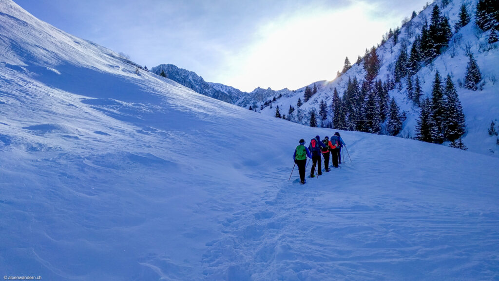 Schneeschuhtour Prättigau - Nollen